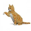 Orange Tabby Cats - 3D Jekca constructor ST19CA04-M01