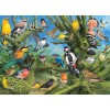 Garden Birds - Puzzle Eurographics 6000-0967