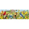 Garden Birds - Panoramic Puzzle Eurographics 6010-5338