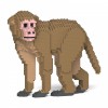 Monkey - 3D Jekca constructor ST19ML24
