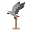 African Grey - 3D Jekca constructor ST19MA19