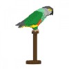 Senegal Parrot - 3D Jekca constructor ST19MA22