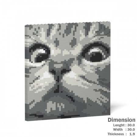 Cat Eyes - 3D Jekca constructor ST24CCE02-M02