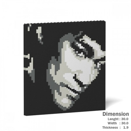 Bruce Lee - 3D Jekca constructor ST24BL01