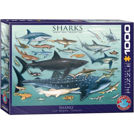 Sharks, Puzzle, 1000 Pcs